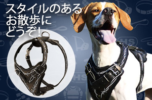 犬 かっこいいハーネス
