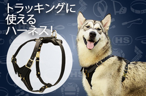 犬 快適な散歩ハーネス