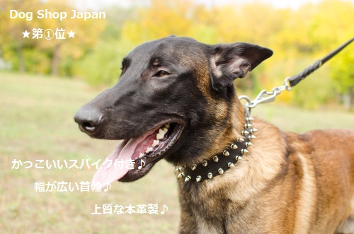 犬用首輪 かっこいい