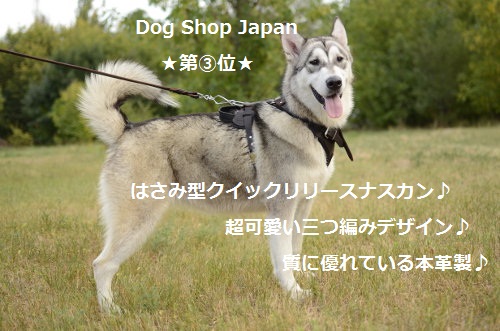 犬用リーシュ