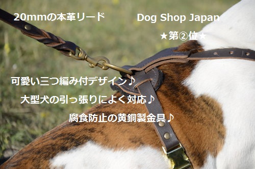 犬用リーシュ