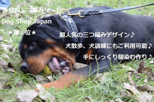 犬用リーシュ