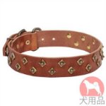 ドット付きスタッズ首輪(黄銅、40mm)