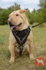 シャーペイ用有刺鉄線柄付き本革ハーネス