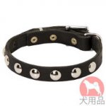 丸型スタッズ付犬　首輪(19mm,ニッケル)