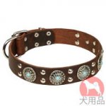 コンチョ付き犬　首輪(青石、丸型スタッズ付)