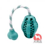 犬用デンタルケアおもちゃ　メロン型