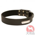 シンプル首輪(ネームプレート)