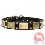 プレート付き犬　首輪(黄銅＋ニッケル)