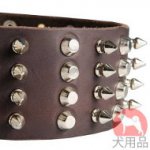 幅広首輪(50mm、ミックス)