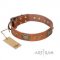 FDT Artisan Catchy Look ナチュラルレザー製デコ首輪