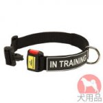 サインパッチ付訓練用ナイロン首輪