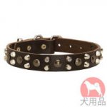 ミックススタッズ付き犬　首輪(30mm)