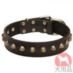 ピラミッド付き革　首輪(黄銅,40mm)