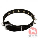 スパイク付小型犬　首輪(19mm,ニッケル)