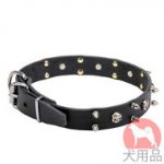 海賊スタッズ付き中型犬　首輪(30mm)