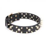 FDT Artisan 海賊スタイル首輪