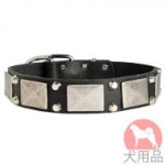 プレート付き本革　首輪(ニッケルピラミッド)