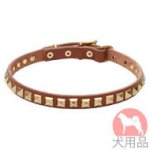 スタッズ　首輪(黄銅、20mm)