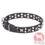 犬　首輪　かっこいいスタッズ付き(25mm)