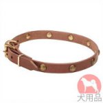 丸型スタッズ付犬　首輪(黄銅、20mm)