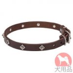 犬　首輪(ドットスタッズ付)