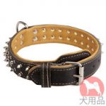 ダブルレザー首輪(ニッケル)