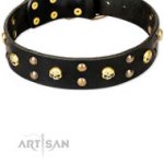 FDT Artisan デコレーション首輪