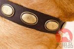 犬用首輪│ボルドー・マスティフ用おしゃれプレート首輪