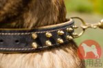 大型犬用二重革首輪　かっこいいスパイク付