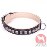 大型犬用首輪　かっこいいコンチョスタイル