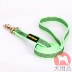 大型犬用リード　ナイロン製　グリーン
