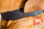 犬の首輪│ボルドー・マスティフ用首輪