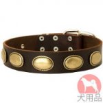 犬　革　首輪(かわいいプレート)