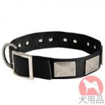 プレート付きナイロン首輪