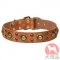 コンチョ付き犬　首輪(青銅,40mm)