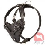 犬　訓練　ハーネス