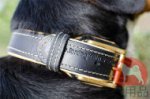 大型犬用ダブルレザーカラー