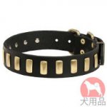 プレート付きおしゃれ　首輪(縦)