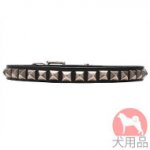 スタッズ　首輪(ニッケル、20mm)
