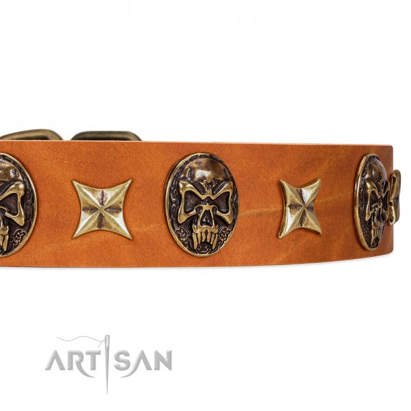 FDT ARTISAN 高級海外犬用カラー