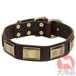 犬　首輪　革(おしゃれプレート付き)