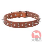 犬　首輪　革(二種類金具)