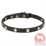 丸型スタッズ付き犬　首輪(20mm、ニッケル)