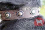 マウンテンドッグ用コンチョ付き首輪