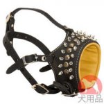 日常用散歩　口輪