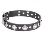 FDT Artisan デザイン首輪　美しいコンチョ付