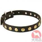 丸型スタッズ付犬　首輪(25mm,黄銅)
