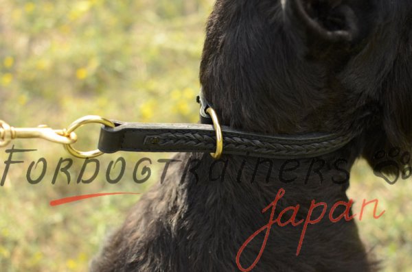 大型犬　丸ひもチョーク(6mm)