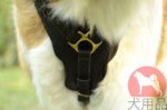大型犬用ハーネス　ハンドクラフト